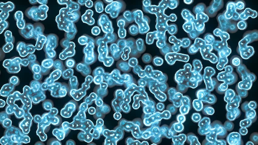 Bacteria Under A Microscope Image Free Stock Photo Public Domain 