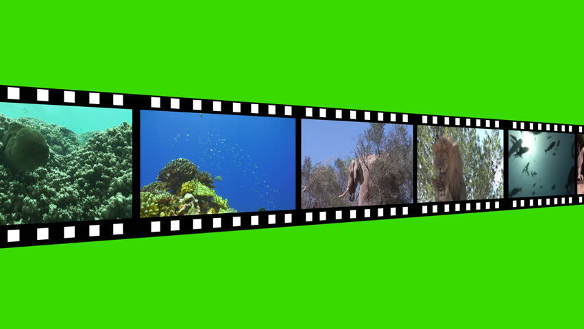 green screen flickery film artifacts