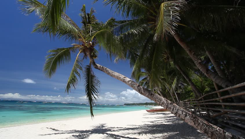 Desert Island Beach. Palm Trees With Beach And Beautiful Ocean ...