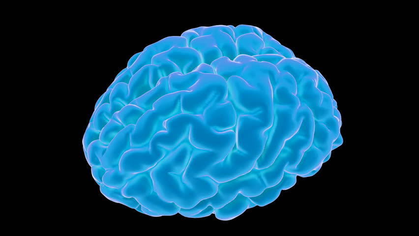 Understanding Music Of Neural >> Blue Throbbing 3d Brain Animation Stock Footage Video ... Understanding Music Of Neural >> Blue Throbbing 3d Brain Animation Stock Footage Video ...