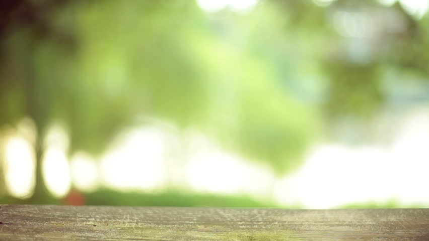 Header of trophy