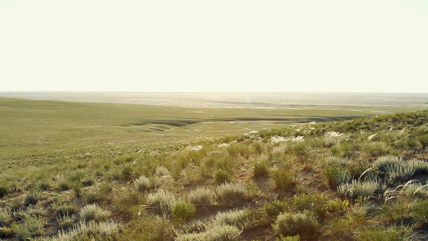 Header of steppe