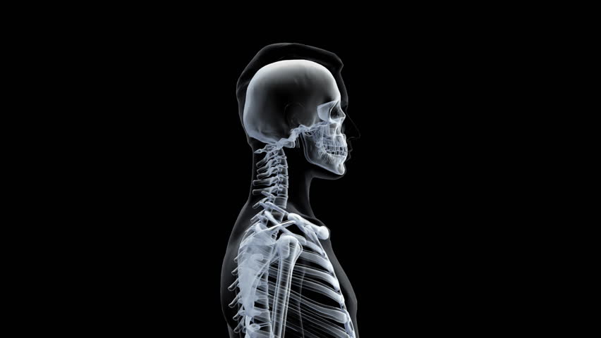 X-ray Scan Of Man. Stock Footage Video 462538 | Shutterstock
