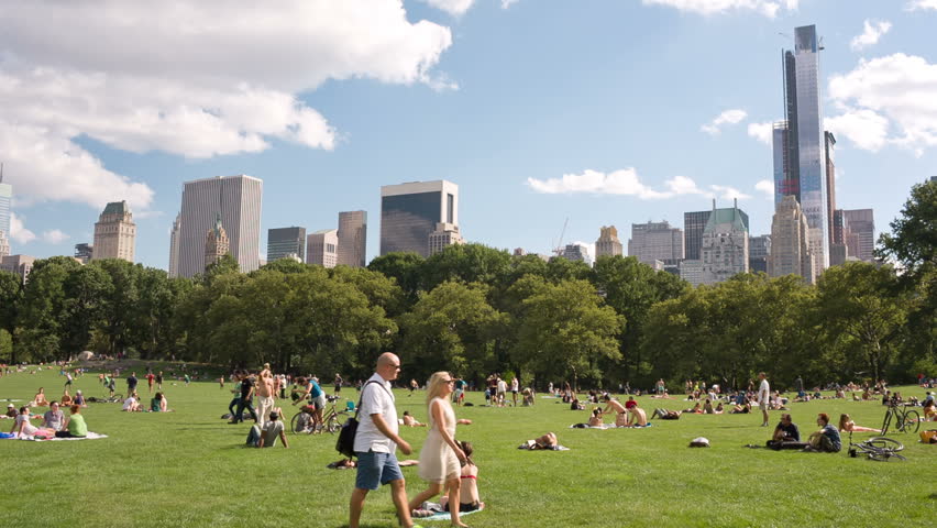 NEW YORK - SEPTEMBER 10: Sunbathing In Central Park On September 10 ...