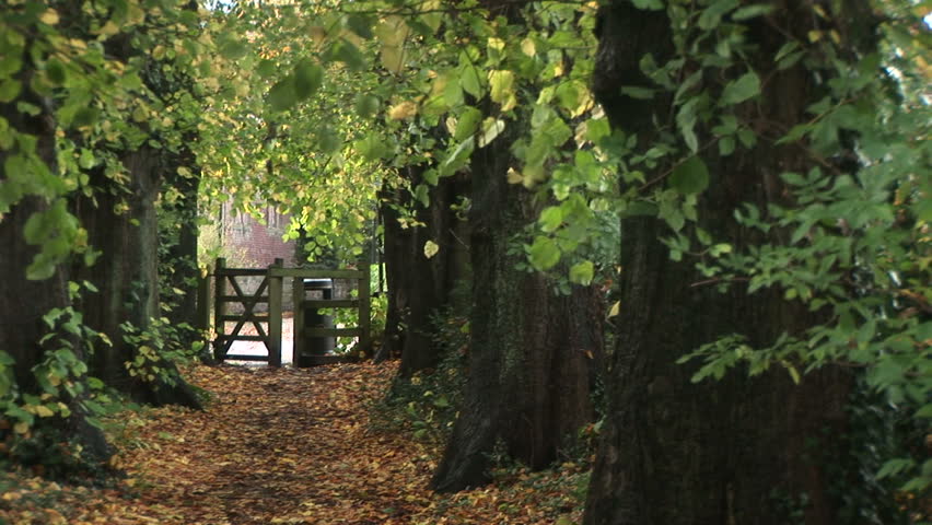 Country Lane in England Stock Footage Video (100% Royalty ...