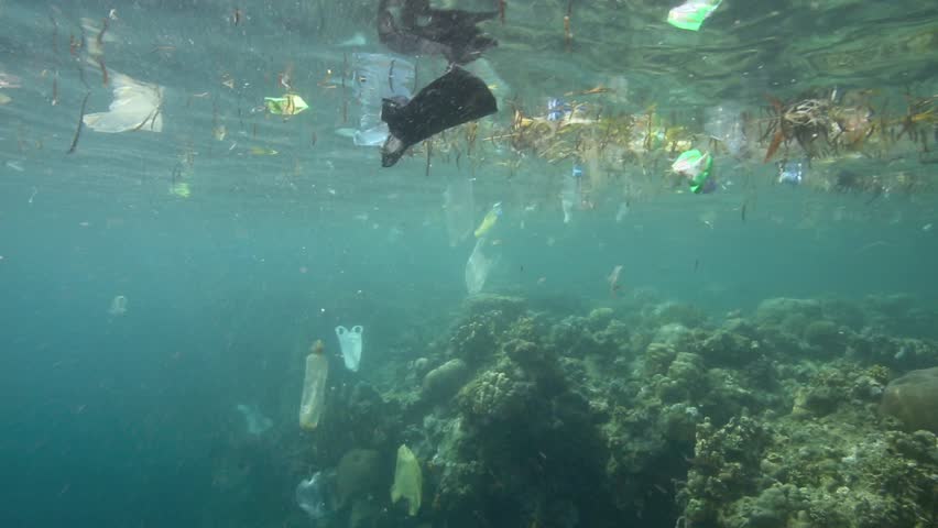 Plastic Garbage And Other Debris Floating Underwater Over Fragile Coral ...