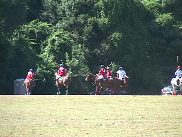 Header of chukker