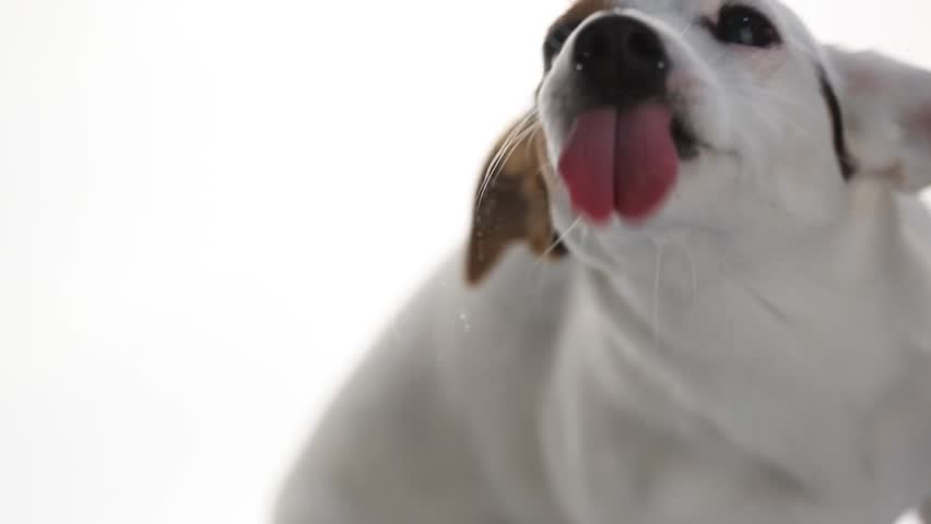 Header of Russell