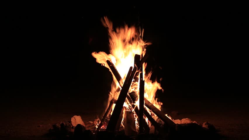 Stock video of bonfire burning trees at night. bonfire | 6270974 ...