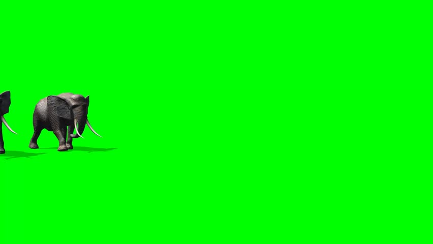 Header of amble
