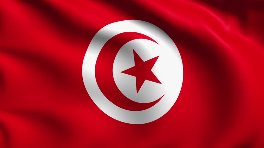 Tunisia Flag Waving In Slow Motion Against Clean Blue Sky, Seamlessly