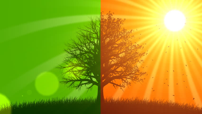 4 Seasons: Fall (Animated Background) Stock Footage Video 711163 ...