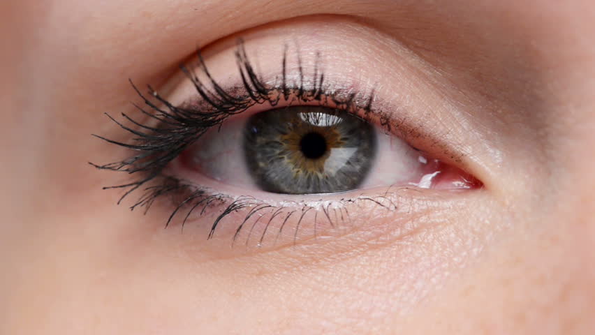 Blue Human Eye  Beauty Macro Close up Woman Eye  Blinking 