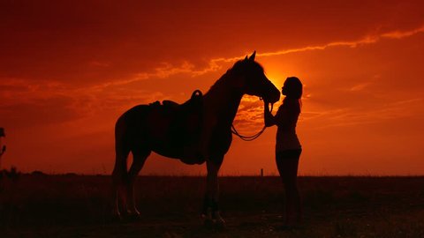 horse and rider silhouette sunset