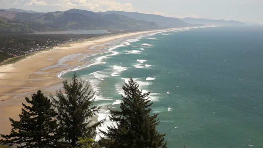 Header of manzanita