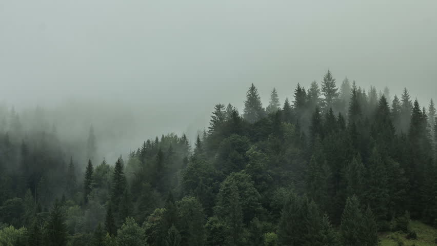 Timelapse of Misty Fog Blowing Stock Footage Video (100% Royalty-free ...