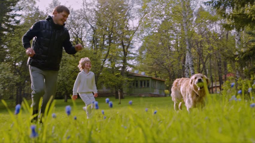 Header of lawn