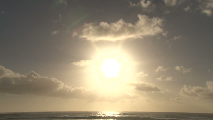to grow light as the sun rises 4 letter word