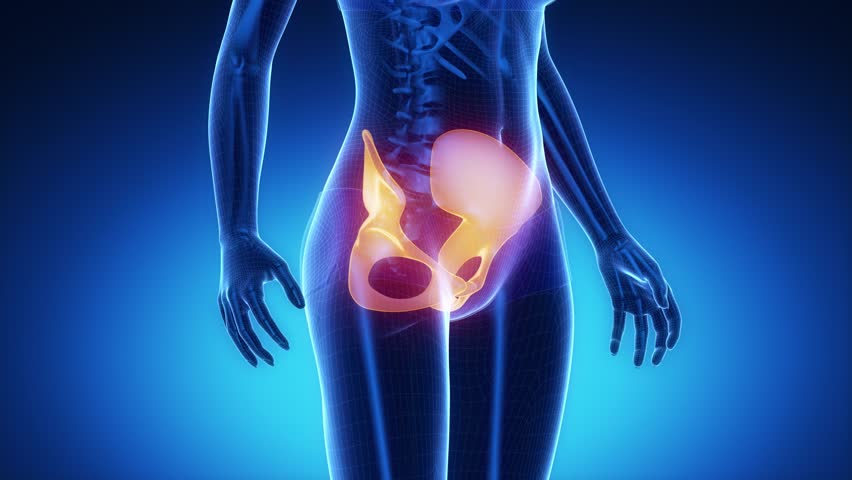 video de rayos x de dolor perineal